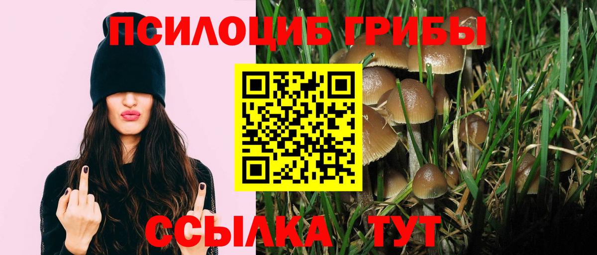 Тамбов  Галлюциногенные грибы GOLDEN TEACHER  Вход с VPN 
